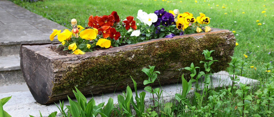 Calme et tranquilité